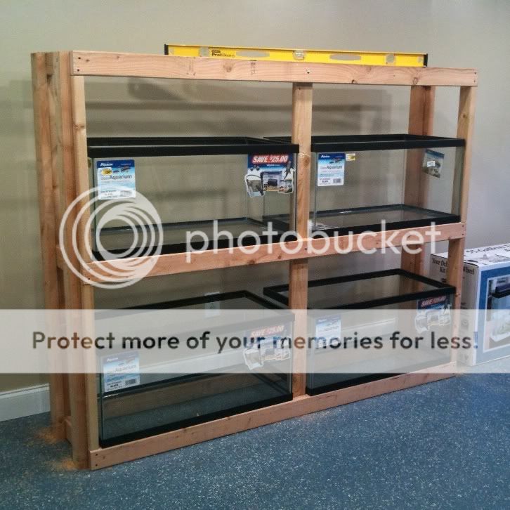 aquarium rack system