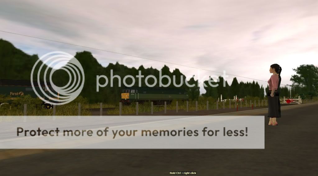 trainz2012-02-2321-23-52-96.jpg