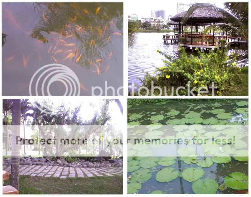 Thành lập Hội những người làm trong ngành Xây Dựng - 1