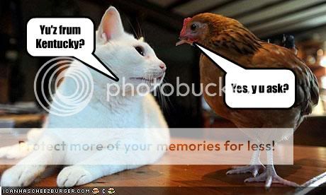 Kentucky Pictures, Images and Photos