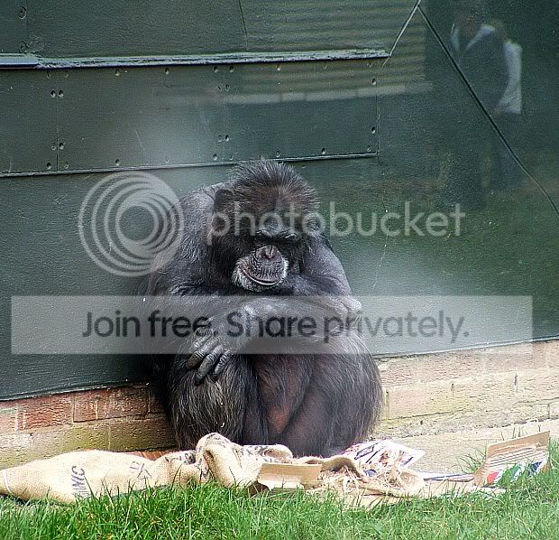 TheTwycrossZoo023 1